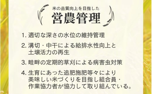 【先行予約】【令和8年産 新米】エコ栽培コシヒカリ 玄米10kg（5kg×2） ／ 鮮度抜群 福井県産 こしひかり ご飯 新鮮 玄米 ※2026年10月上旬以降順次発送 [aw063-a022]