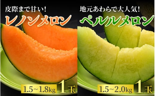 【先行予約】《定期便全2回》佐藤農園のフルーツ定期便 朝採り 計4玉（小玉スイカ・マルセイユメロン・レノンメロン・ペルルメロン）農家直送 秀品 お届け！※2027年5月下旬～7月末の間に順次発送予定 [aw069-b001]