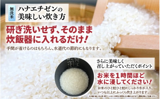 【先行予約】【令和8年産】 【9月上旬以降発送】華越前  無洗米 5kg / 米 5キロ ハナエチゼン はなえちぜん 北陸 福井県産 あわら市 ブランド米 白米 お米 コメ こめ kome ※2026年9月上旬以降順次発送 [aw056-a028_09]