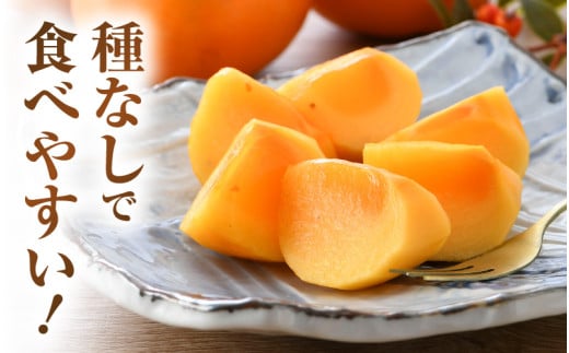 【先行予約】越前柿 16個入 約2.5kg（M～2L）≪JA受賞歴親子２代≫ ／ 果物 フルーツ 柿 産地直送 期間限定 ※2026年11月上旬より順次発送 [aw061-a003]