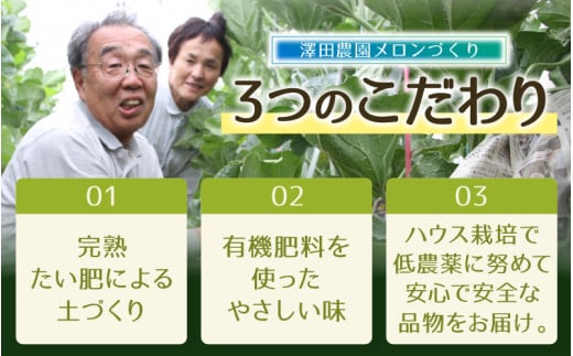 【先行予約】マスクメロン 青肉/赤肉 2色セット（1.5kg以上 2玉入）食べ比べお楽しみ！アールスメロン  / 期間限定 果物 フルーツ 産地直送 人気 食べ比べ ※2026年7月上旬より順次発送 [aw039-a006]