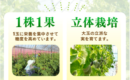 【先行予約】青肉ペルルメロン（1.7kg以上）赤肉パリスメロン（1.5kg以上 ）秀品 各1玉（計2玉）【ネット系＆アールス系メロン】《糖度16度程度！1株1果採りで育てる高級メロン！》／ 果物 フルーツ 農家直送 青肉 赤肉 セット ネット系マスクメロン アールスメロン ペルルメロン パリスメロンギフト 贈答用 ※2026年7月上旬より順次発送予定 [aw028-a002]