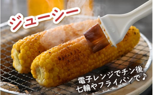 【先行予約】秋とうもろこし 黄色 白色 計8本 おおもの 朝採り ／ 期間限定 数量限定 ハウス栽培 産地直送 甘い ミックス スイートコーン 白い とうもろこし ホワイトコーン 野菜 あわら ※2026年10月10日より順次発送 [aw039-a012]