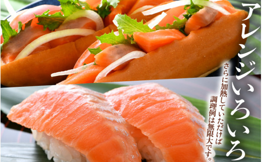 《定期便12回》ふくいサーモン 柵どり 150g×4パック 計600g ＜鮮度抜群！真空冷凍＞ ／ 生食OK 刺身 鮭 国産 [aw002-o001]