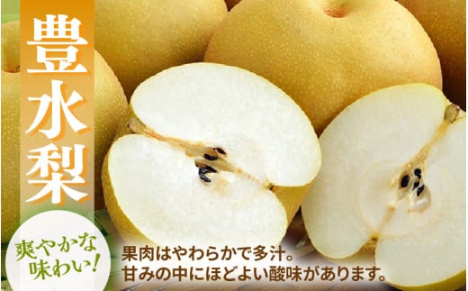 【先行予約】福井梨 3kg 6～8玉入 《幸水梨 豊水梨どちらかのお届け！》 ／ 期間限定 果物 フルーツ 産地直送 旬 お取り寄せ ※2026年8月下旬以降発送 [aw003-a009]
