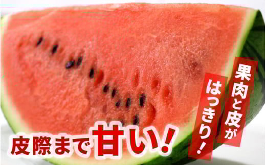 【先行予約】大玉スイカ「夏の天使」 1玉入 （L～2L ）抜群の糖度で甘い！／ 期間限定 果物 フルーツ 西瓜 産地直送 ※2026年7月中旬より順次発送 [aw003-a002]