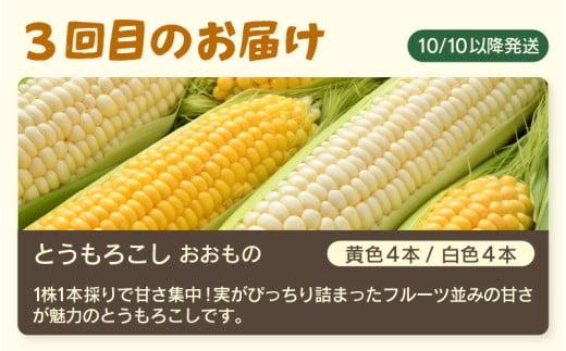 【先行予約】≪定期便/全3回≫フルーツ王国あわらのこだわり5品 農家直送 厳選品／ 期間限定 果物 フルーツ 青肉メロン 赤肉メロン 西瓜 とうもろこし 産地直送 ※2027年6月中旬より順次発送 [aw039-c002]
