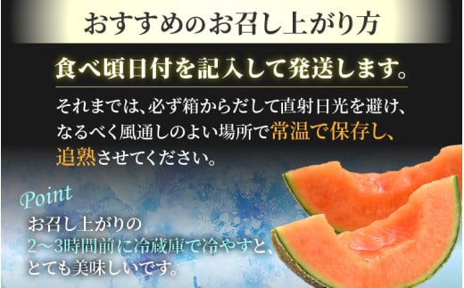 【先行予約】佐藤農園のマルセイユメロン 約3kg前後《秀品》(2～3玉入）深みのある甘さ とろける濃厚な赤肉！農家直送 有機肥料 低農薬 ※2026年6月上旬より順次発送予定 [aw069-a002]