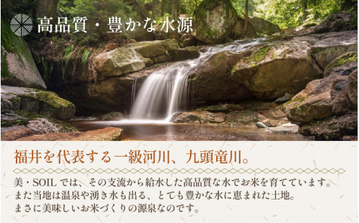 【先行予約】【令和8年産・新米】特別栽培米 ハナエチゼン 10kg  低農薬 《こだわり極上米》 / 福井県 あわら 北陸 米 お米 人気 ※2026年9月上旬以降順次発送 [aw032-c010]
