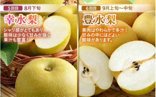 【先行予約】《全7回》あわら大満足 7種 フルーツ定期便 《あわらの旬が満載！》／ 果物 旬 食べ比べ 贈り物 定期便 マルセイユ アンデス アールス 大玉スイカ 梨 柿 ※2027年6月中旬以降順次発送 [aw003-j001]