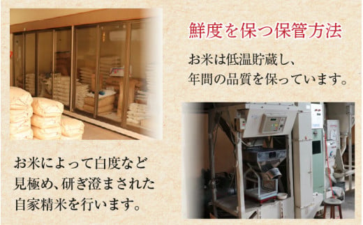 【令和7年産】定期便6回 いちほまれ 玄米 5kg×6回（計30kg）《新鮮な高品質米をお届け！》／ 福井県産 ブランド米 ご飯 [aw064-g004]