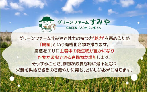【先行予約】【令和8年産】 【9月上旬以降発送】華越前  無洗米 5kg / 米 5キロ ハナエチゼン はなえちぜん 北陸 福井県産 あわら市 ブランド米 白米 お米 コメ こめ kome ※2026年9月上旬以降順次発送 [aw056-a028_09]