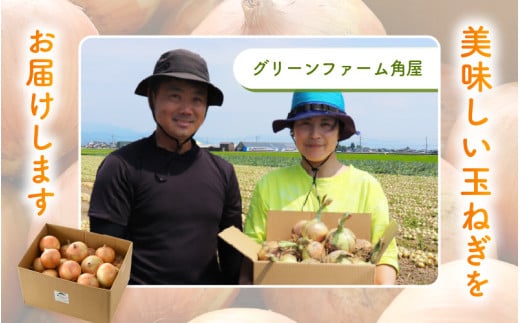 【先行予約】採れたて 新玉ねぎ 10kg（サイズ S M L ミックス）田んぼで育てた甘くて柔らか自慢の玉ねぎ！／ 常備 野菜 玉葱 たまねぎ 玉ネギ 甘い ※2026年6月以降順次発送予定 [aw056-a020]
