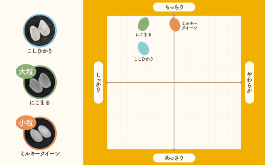 【先行予約】【令和8年産】定期便《3ヶ月連続お届け》精米 にこまる 5kg（計15kg）＜低農薬栽培＞ ／ 高品質 鮮度抜群 福井県 あわら市産 ブランド米 白米 お米 米 ※2026年10月中旬より順次発送 [aw066-b004]