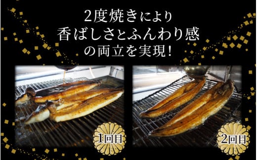 国産 活うなぎ蒲焼 有頭 約270gを2尾（計540g）2～4人前《ご寄付後、発送直前に1つ1つ手焼き！》【年内発送受付12月15日まで】／ 高級 特大 ウナギ 老舗魚屋 タレ レンジ 温めるだけ 簡単 土用の丑 うな重 うな丼 自家製タレ付 [aw072-b001]