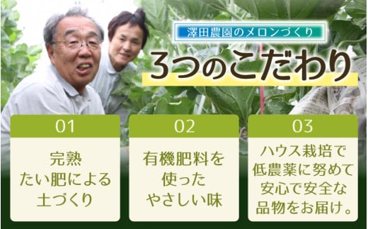 【先行予約】マスクメロン・ペルルメロン 2種セット(2玉入）大玉で食べ応え抜群！  / 期間限定 果物 フルーツ 産地直送 青肉 人気 甘い アールスメロン ※2026年7月上旬より順次発送 [aw039-a007]