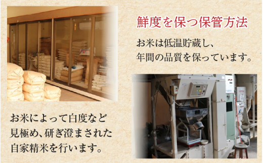 【令和7年産】いちほまれ 玄米 5kg×1袋《新鮮な高品質米をお届け！》／ 福井県産 ブランド米 ご飯 [aw064-a019]
