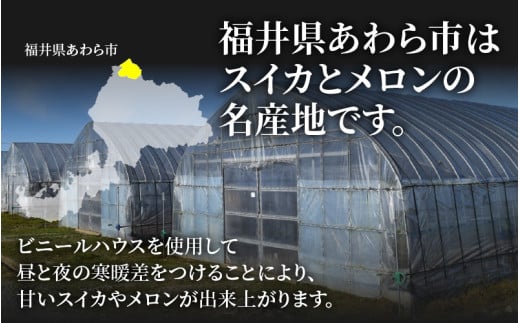 【先行予約】《定期便全2回》スイカとメロン大好きな人集まれ！第2弾！（小玉スイカ・マルセイユメロン・赤肉レノンメロン）計4玉 農家直送 秀品 お届け！/ フルーツ くだもの 果物 贈答 特産 旬 夏  完熟 すいか メロン 朝どれ 美味しい お取り寄せ 野菜 ※2027年5月下旬～7月末の間に順次発送予定 [aw069-b003]