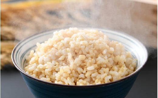 【先行予約】【令和8年産 新米】エコ栽培コシヒカリ 玄米10kg（5kg×2） ／ 鮮度抜群 福井県産 こしひかり ご飯 新鮮 玄米 ※2026年10月上旬以降順次発送 [aw063-a022]