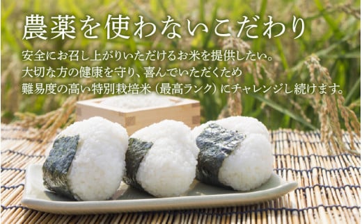 【先行予約】【令和8年産 新米】伊与衛門農園のコシヒカリ 精米 10kg 特別栽培米 5kg×2袋 化学肥料不使用 ＜温度と湿度を常時管理し新鮮米を出荷！＞／ 高品質 鮮度抜群 福井県あわら産 ブランド米 白米 お米 ※2026年9月下旬より順次発送予定 [aw071-c002]