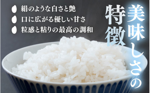 【令和7年産】いちほまれ 真空パック 精米 300g×9個 計2.7kg《ギフトにもおすすめ！化粧箱入り》／ 福井県産 ブランド米 白米 2合 [aw003-a014]