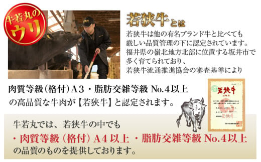 若狭牛 すき焼き肉 食べ比べ 霜降りロース・特上モモ 各500g 合計1kg（約5～6人前）《発送直前にカットで新鮮！》 [aw009-e004]