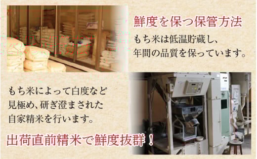 【令和7年産】たんちょうもち米 1.5kg×3袋（計4.5kg）精米 ≪希少！お餅作りに最良≫ ／ 餅 タンチョウ 餅つき 丸餅 柏餅 [aw064-a020]