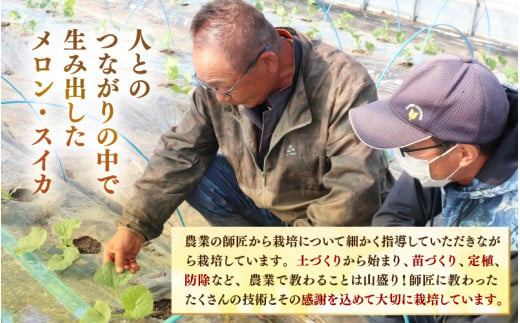 【先行予約】《定期便全5回》フルーツ大満足定期便 ／ すいか マスクメロン 高級メロン 大玉 果物 フルーツ 夏 ギフト 農家直送 ※2027年6月上旬以降発送  [aw065-d001]