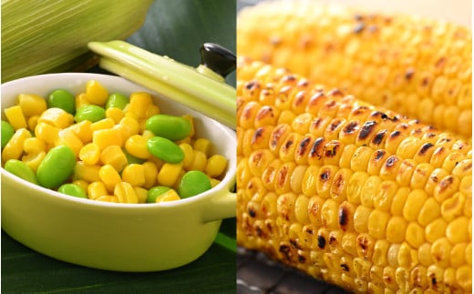 【先行予約】朝採り ピクニックコーン 黄色 10本入《生でも食べれる！希少品》 ／ 野菜 とうもろこし スイートコーン ※2026年6月上旬以降順次発送 [aw028-a007]