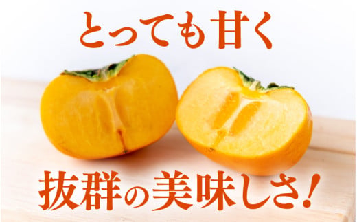 【先行予約】越前柿 16～20玉入 M～2L 《種なしで食べやすく甘い！》 あわらブランド ／ 期間限定 果物 フルーツ 産地直送 旬 お取り寄せ ※2026年10月中旬以降順次発送 [aw003-a006]