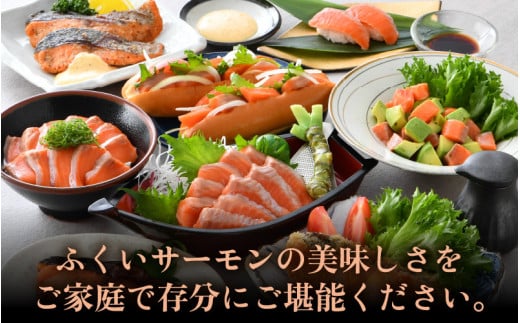 ふくいサーモンセット 計600g（切り身100g×3切・柵どり150g×2パック）＜鮮度抜群！アレンジ自在！真空冷凍＞ ／ 生食OK 刺身 焼き魚 鮭 国産 福井県 あわら市 寿司 [aw002-b005]