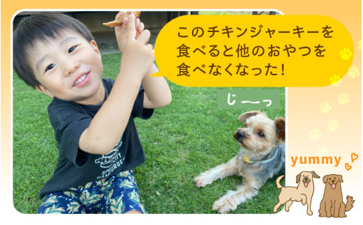 【訳あり】【国産 鶏肉】 ３0本入り ワンちゃんのチキンジャーキー / ドックフード 手作り やみつき くいつき 犬用 小型犬 中型犬 大型犬 ペットフード 味付けなし [aw044-a003]