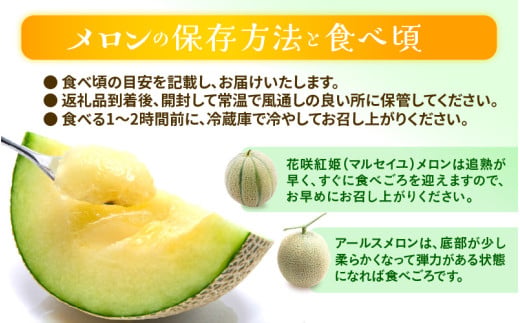 【先行予約】《全6回》あわら満喫 6種 フルーツ定期便 《あわらの旬が色々楽しめる♪》／ 果物 旬 食べ比べ 贈り物 定期便 マルセイユ アールス 大玉スイカ 梨 柿 ※2027年6月中旬以降順次発送 [aw003-e001]