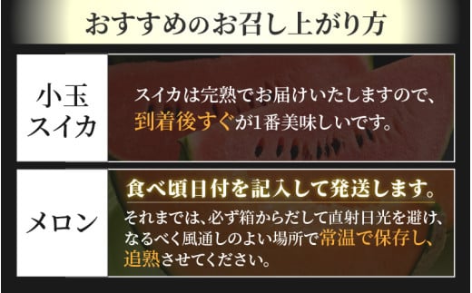 【先行予約】【秀品】佐藤農園の小玉スイカとレノンメロンのセット 計2玉 / 農家直送 有機肥料 低農薬 すいか フルーツ 果物 くだもの 野菜 赤い食べ物 甘い 贈答 旬 夏 福井県あわら市産 ※2026年6月中旬より発送順次発送 [aw069-a010]