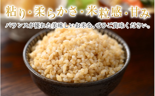 【令和7年産】いちほまれ 玄米 5kg×2袋（計10kg）《新鮮な高品質米をお届け！》／ 福井県産 ブランド米 ご飯 [aw064-b013]