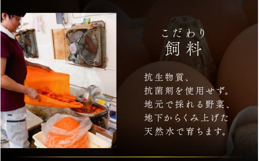 濃厚で甘くておいしい！ 福井ブランド「福地鶏」の卵 50個（25個入×2段） ／ 卵 たまご 鶏卵 生卵 有精卵 高級 高級卵 福地鶏 鶏 平飼い 美味しい こだわり 卵かけご飯 料理 あわら市 福井県産 [aw036-a002]
