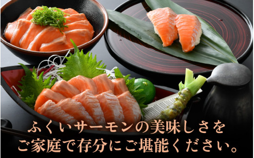 ふくいサーモン 柵どり 150g×4パック 計600g ＜鮮度抜群！アレンジ自在！真空冷凍＞ ／ 生食OK 刺身 鮭 国産 福井県 あわら市 魚 [aw002-b004]