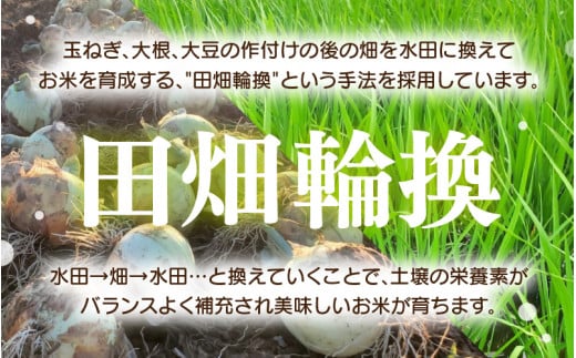 【先行予約】【令和8年産】 【9月上旬以降発送】華越前  無洗米 5kg / 米 5キロ ハナエチゼン はなえちぜん 北陸 福井県産 あわら市 ブランド米 白米 お米 コメ こめ kome ※2026年9月上旬以降順次発送 [aw056-a028_09]