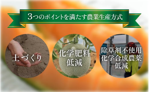 【先行予約】【赤肉】アールスメロン 2玉（約3.2kg以上）赤肉品種 高級メロン！ ／ マスクメロン 大玉 果物 フルーツ 夏 ギフト 農家直送 ※2027年6月下旬以降順次発送 [aw065-a014]