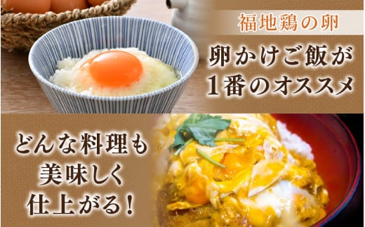 福井ブランド「福地鶏」セット（モモロール・ハムスライス・卵）お肉も卵も堪能できる！ [aw036-a005]