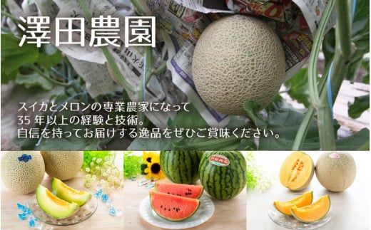 【先行予約】アムス・マリアージュメロン 2種（1.3kg以上2玉入）農園1番のおすすめ！ / 期間限定 果物 フルーツ 産地直送 青肉 赤肉 人気 ※2027年7月上旬より順次発送 [aw039-a019]