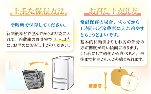 【先行予約】《数量限定》あきづき梨 3kg特選 5玉～6玉入り もぎたて 新鮮 ※2026年9月中旬より順次発送予定 [aw042-a005]