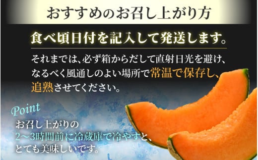 【先行予約】レノンメロン 3L 2玉入 約2.6～3kg《秀品》コク深い甘さ・香りいっぱいのメロン！農家直送 有機肥料 低農薬 赤肉 マスクメロン 高級メロン ※2026年6月中旬より順次発送 [aw069-a006]