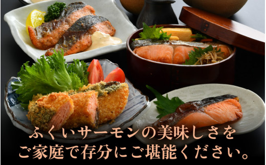 ふくいサーモン 切り身 100g×6切 計600g ＜鮮度抜群！アレンジ自在！真空冷凍＞ ／ 生食OK 刺身 焼き魚 鮭 国産 [aw002-b003]