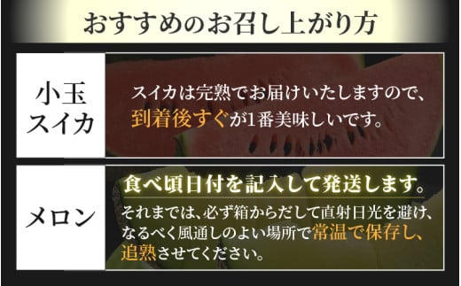 【先行予約】《定期便全2回》佐藤農園のフルーツ定期便 朝採り 計4玉（小玉スイカ・マルセイユメロン・レノンメロン・ペルルメロン）農家直送 秀品 お届け！※2027年5月下旬～7月末の間に順次発送予定 [aw069-b001]