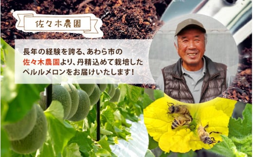 【先行予約】ペルルメロン 3L 2玉入（1.7kg以上×2玉）糖度16度以上！／ 1株1果 大玉 青肉 メロン 果物 フルーツ ギフト 農家直送 ※2027年6月下旬より順次発送 [aw045-a003]