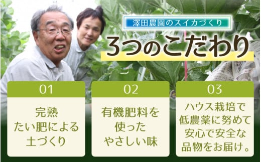 【先行予約】日を分けて2度楽しめる！小玉すいか・おすすめメロン 2種セット(2玉入)  / 期間限定 果物 フルーツ 産地直送 青肉 赤肉 スイカ 小玉スイカ 人気 ※2027年6月下旬より順次発送 [aw039-a020]