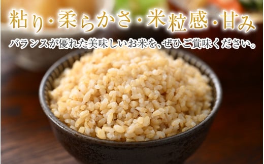 【令和7年産】定期便6回 いちほまれ 玄米 5kg×6回（計30kg）《新鮮な高品質米をお届け！》／ 福井県産 ブランド米 ご飯 [aw064-g004]