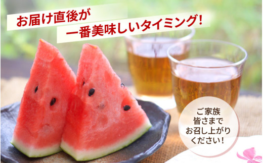 【先行予約】大玉スイカ「夏の天使」 1玉入 （L～2L ）抜群の糖度で甘い！／ 期間限定 果物 フルーツ 西瓜 産地直送 ※2026年7月中旬より順次発送 [aw003-a002]