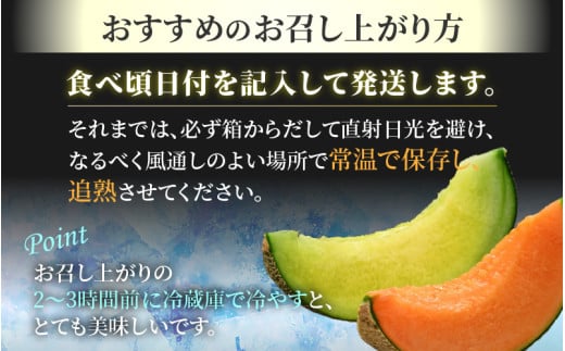 【先行予約】佐藤農園の赤肉と青肉食べ比べ計2玉（レノンメロン・アンデスメロン）農家直送 秀品 お届け！ / フルーツ くだもの 特産 旬 夏 果物 完熟  メロン 朝どれ 美味しい お取り寄せ 贈答 ※2026年6月中旬より順次発送 [aw069-a011]